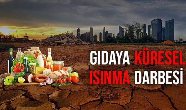 Küresel ısınma gıda enflasyonunu artırabilir