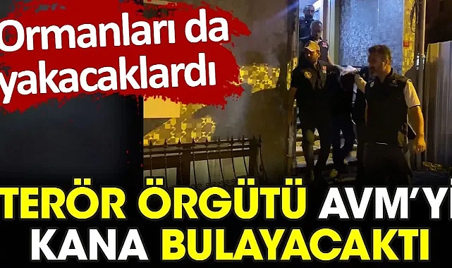Terör örgütü İstanbul'da bir AVM'yi kana bulayacaktı