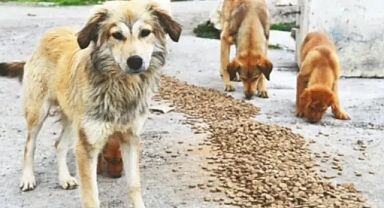 MASAK, mama lobisinin kirli finansal ilişkilerini deşifre etti